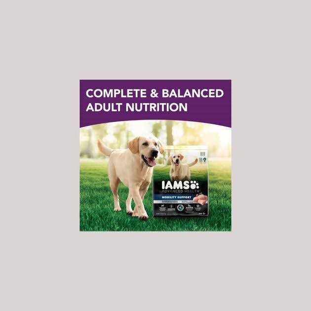 Chicken & Whole Grain Recipe Adult Dry Dog Food B955006