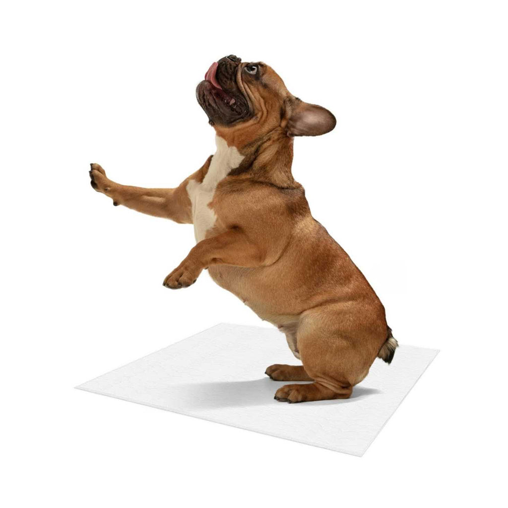 Reusable Pee Pads for Dogs A494