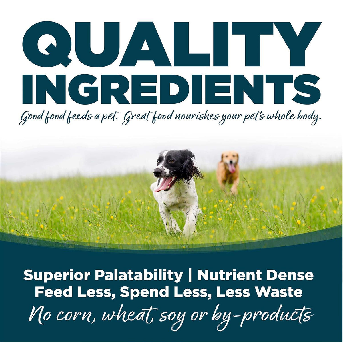 Chicken & Rice Dry Dog Food L964