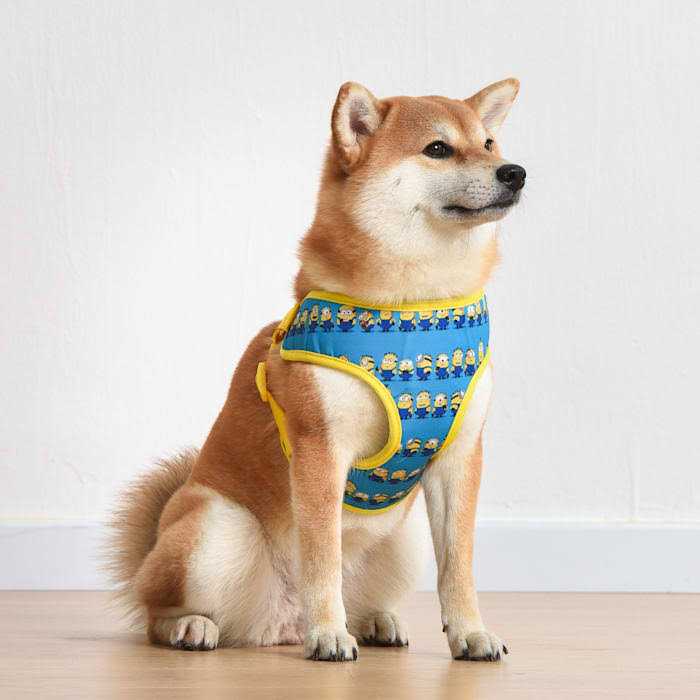 Blue Mesh No-Pull Dog Harness S461