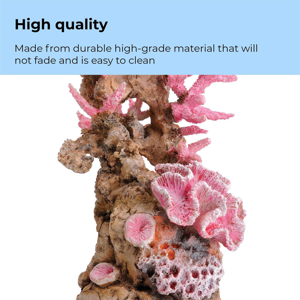Reef Ornament S81514