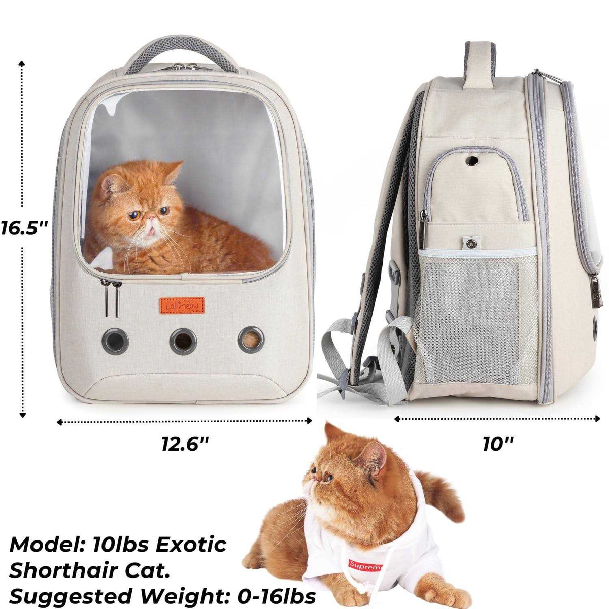 Pet Carrier Backpack I718