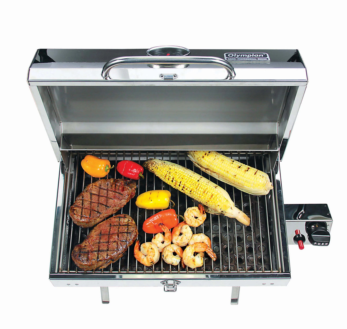 Portable Stainless Steel Gas Grill E639