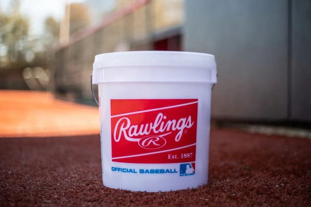 24 Pack Baseballs D737