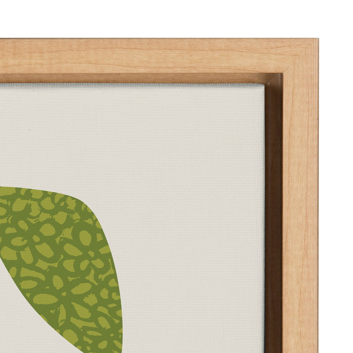 Framed Canvas 18x24 V67550