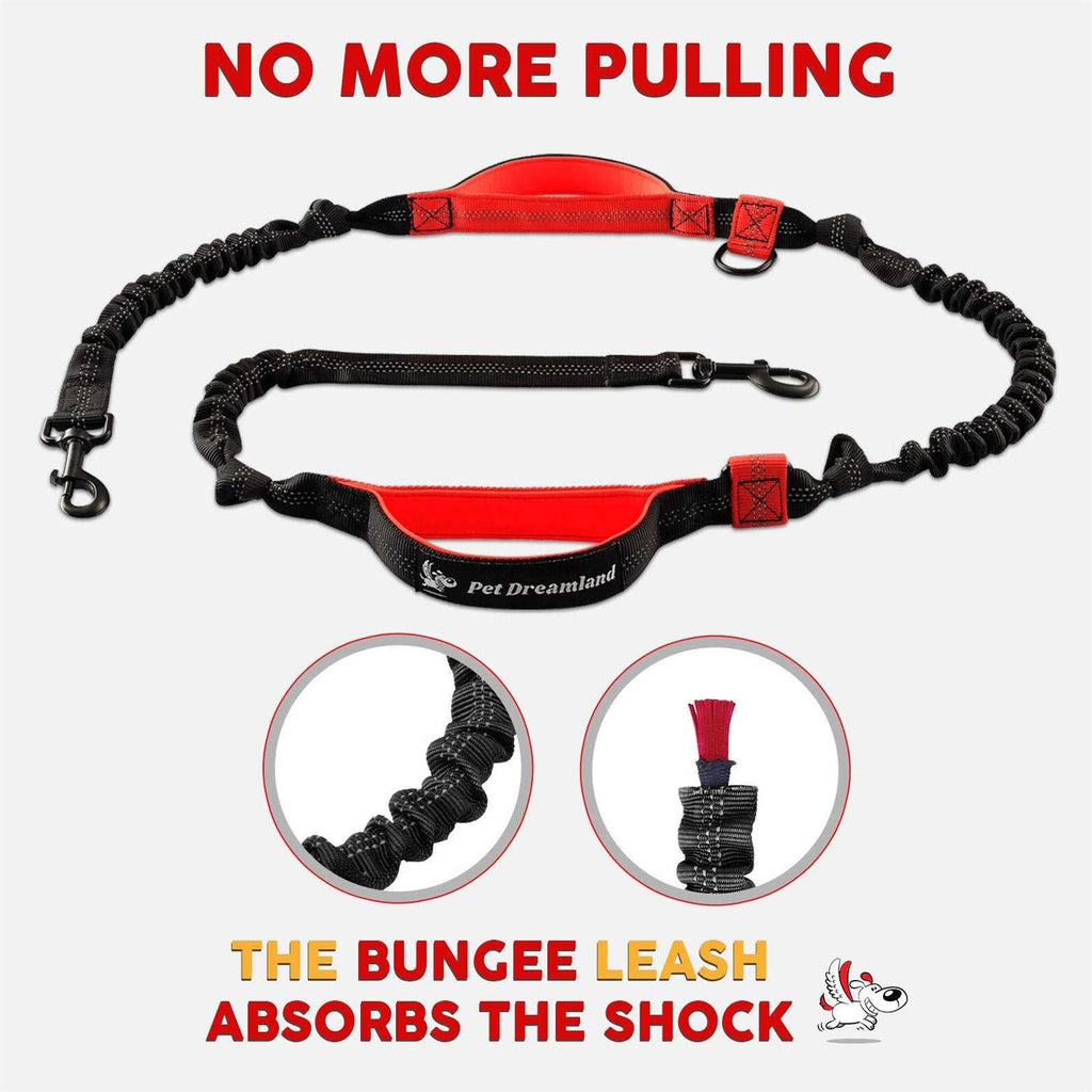 Hands Free Dog Leash E33606