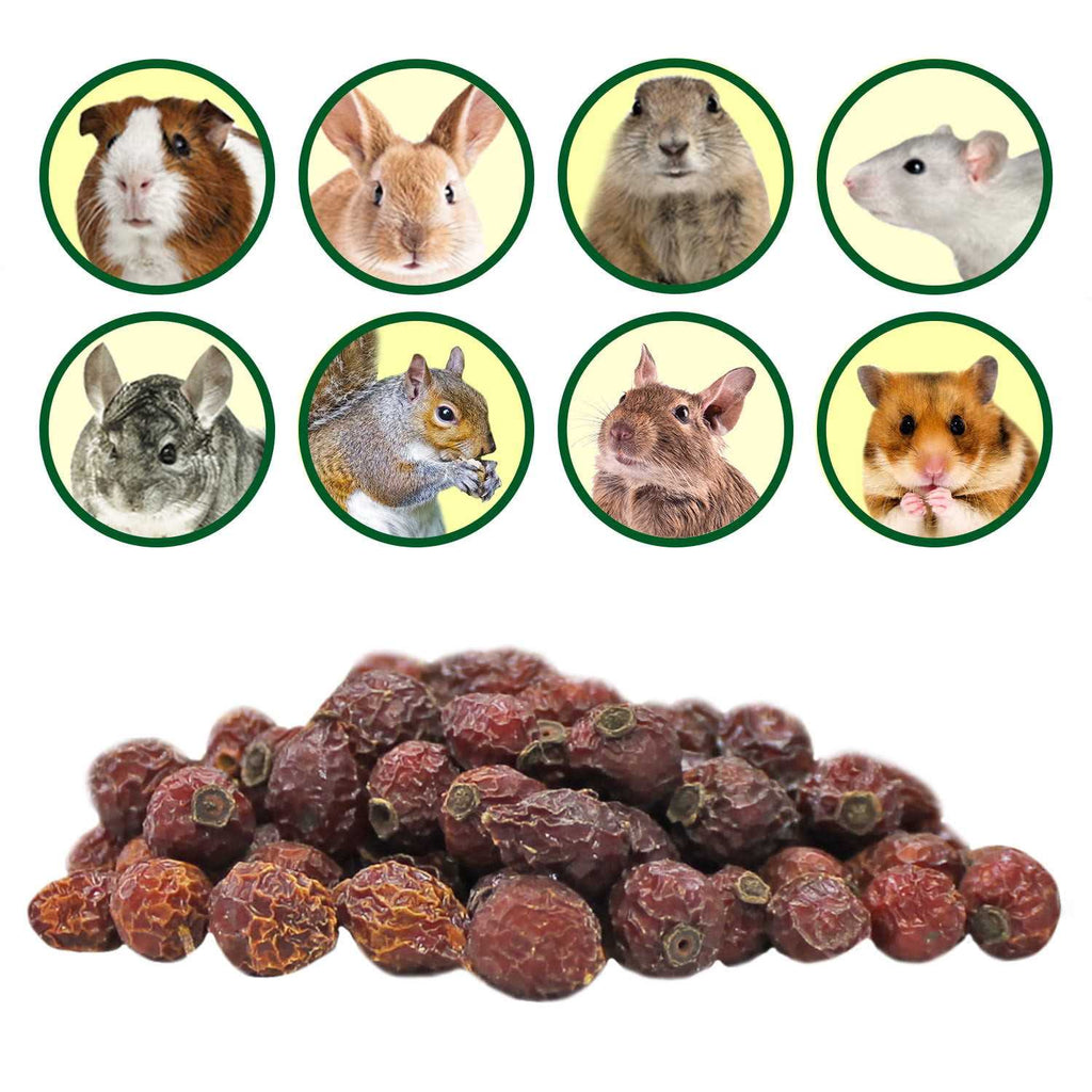 Dried Rose Hips Treat 3 oz N4590