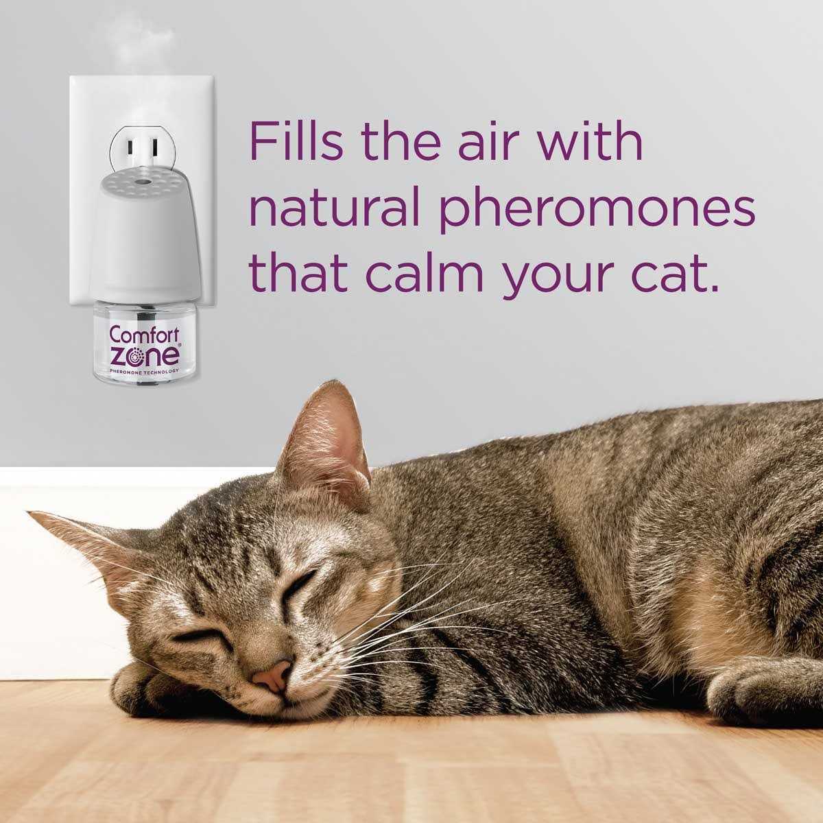 Calming Diffuser Kit Z981514