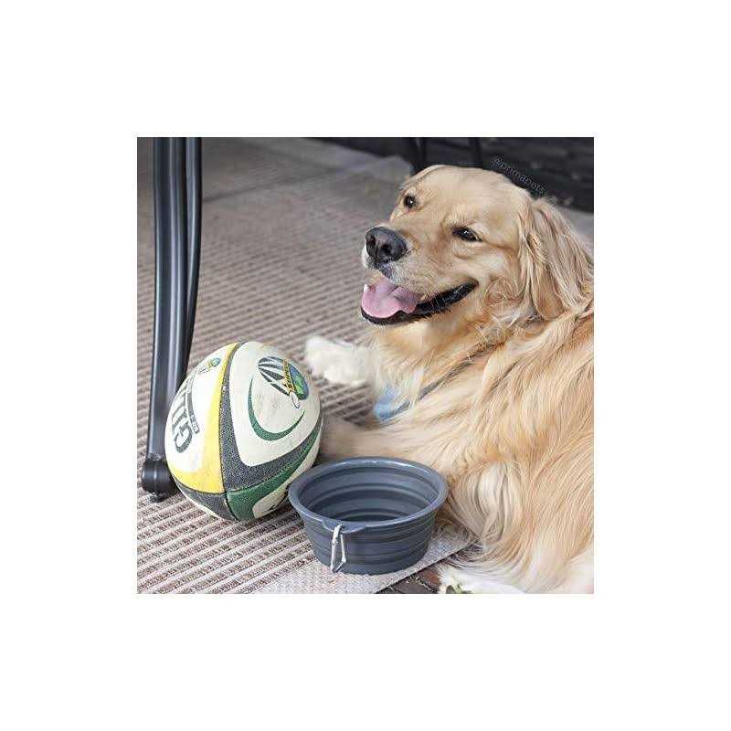 Collapsible Silicone Water Travel Bowl with Clip M48155