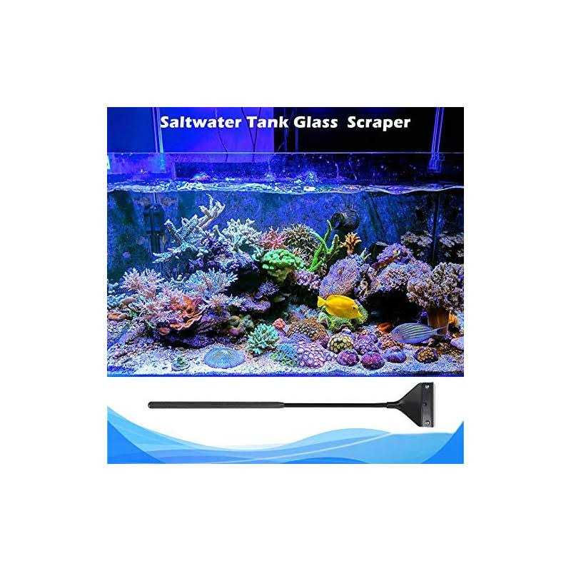 Algae Scraper for Glass Aquariums P307684