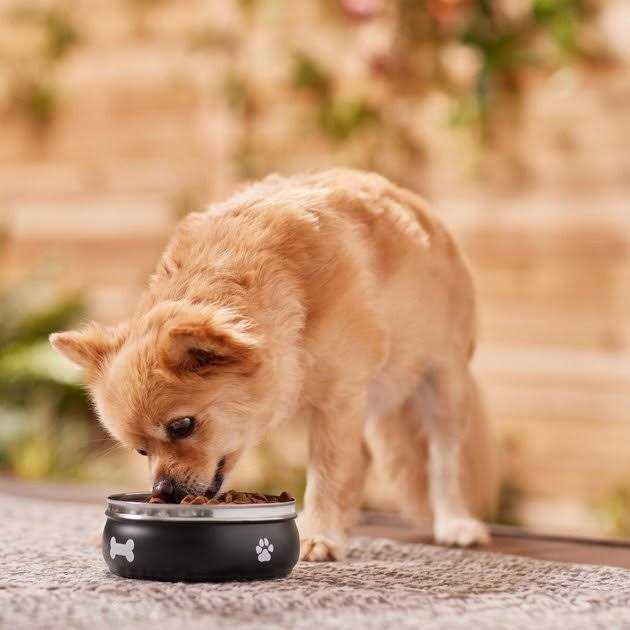 Non-skid Stainless Steel Dog & Cat Bowl C9237