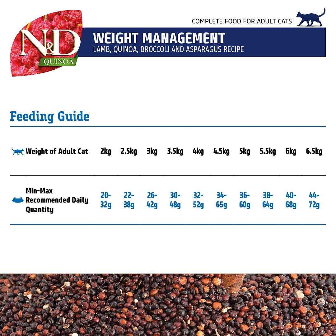 Lamb Dry Cat Food M596135