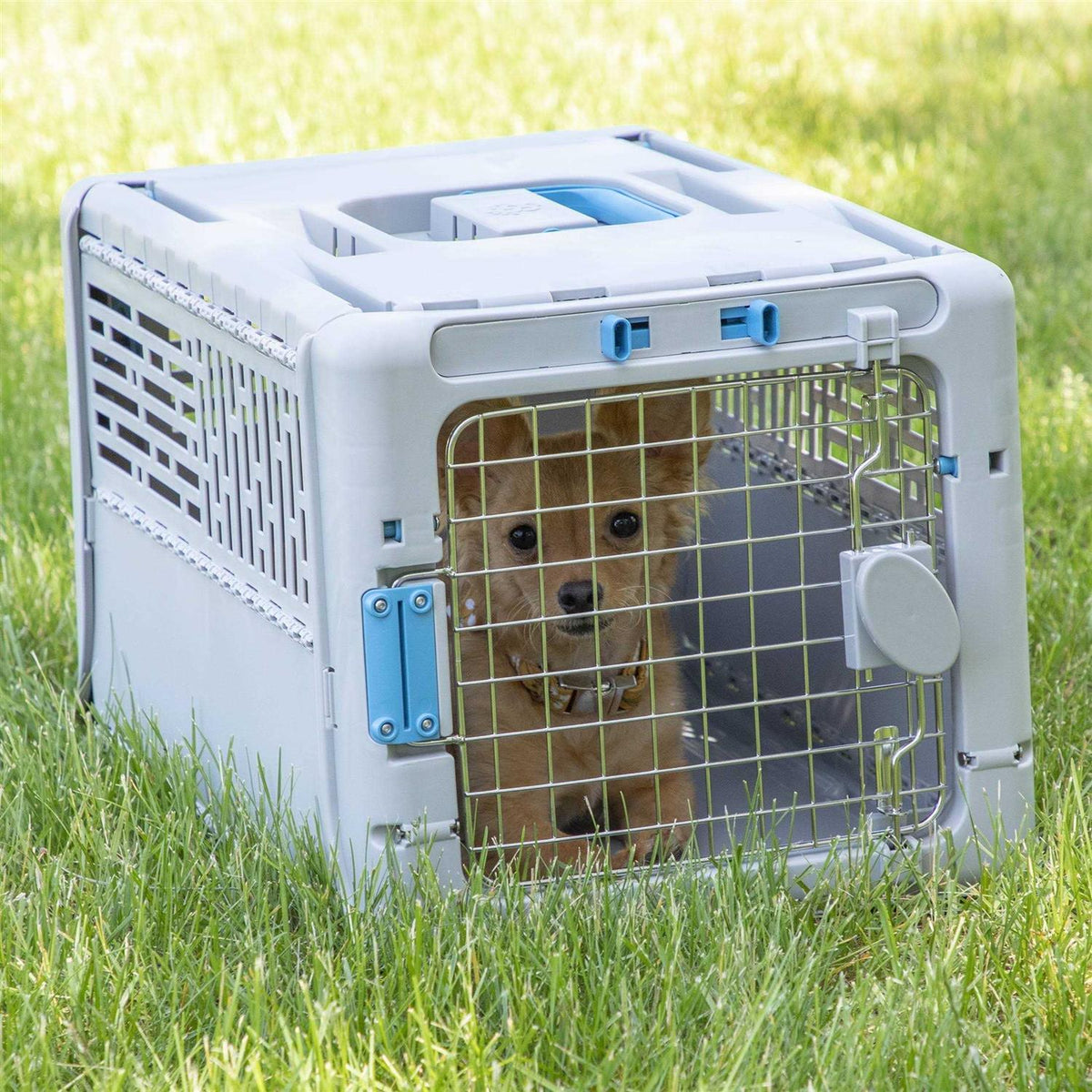 Collapsible Plastic Dog Kennel W78844