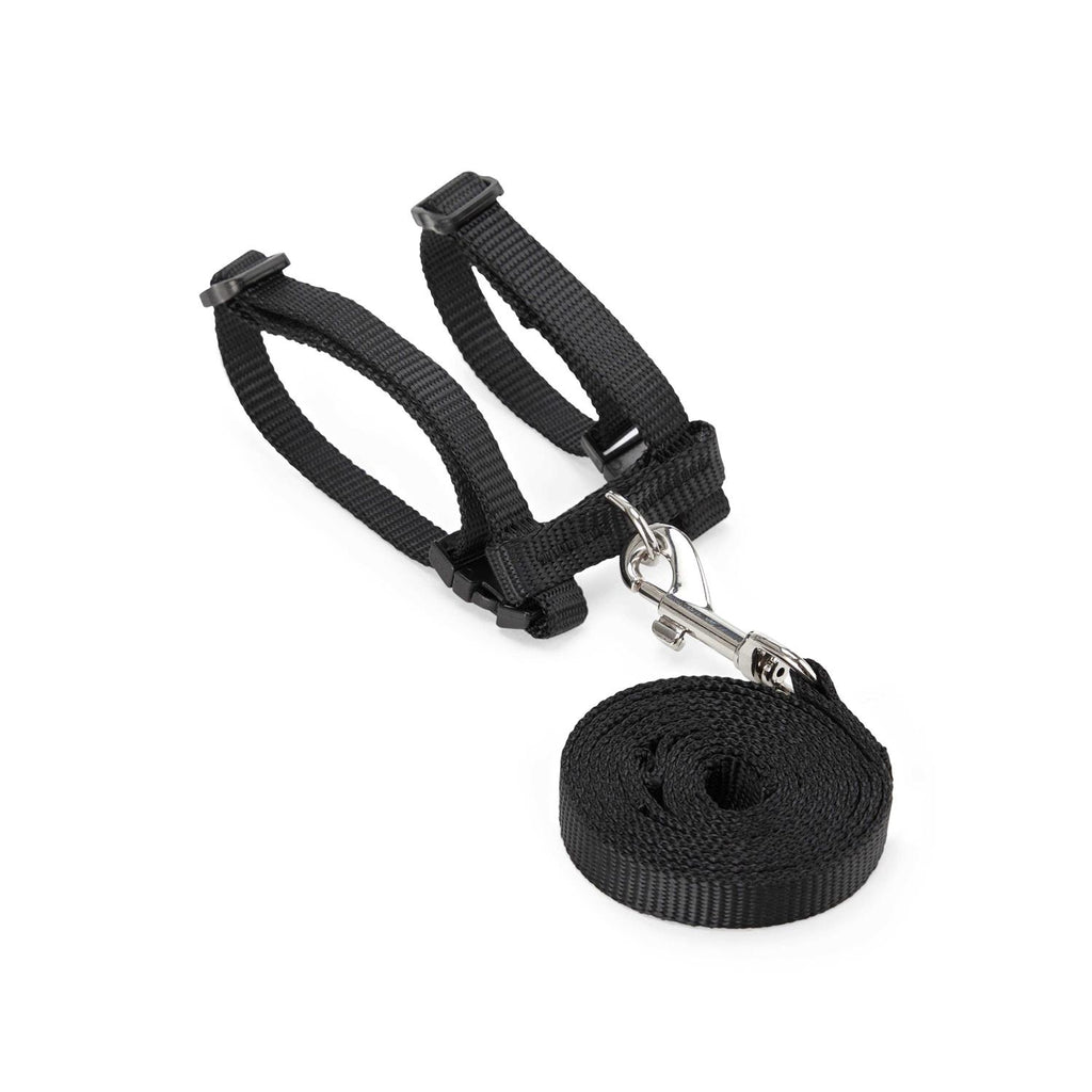 Ferret Harness & Lead A26058