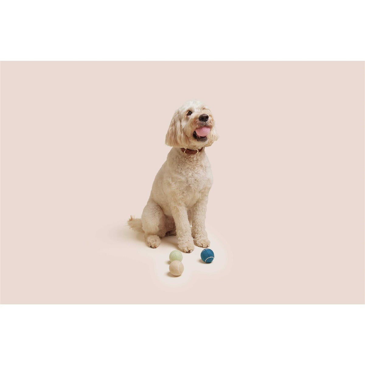 Dog Tennis Balls A7074