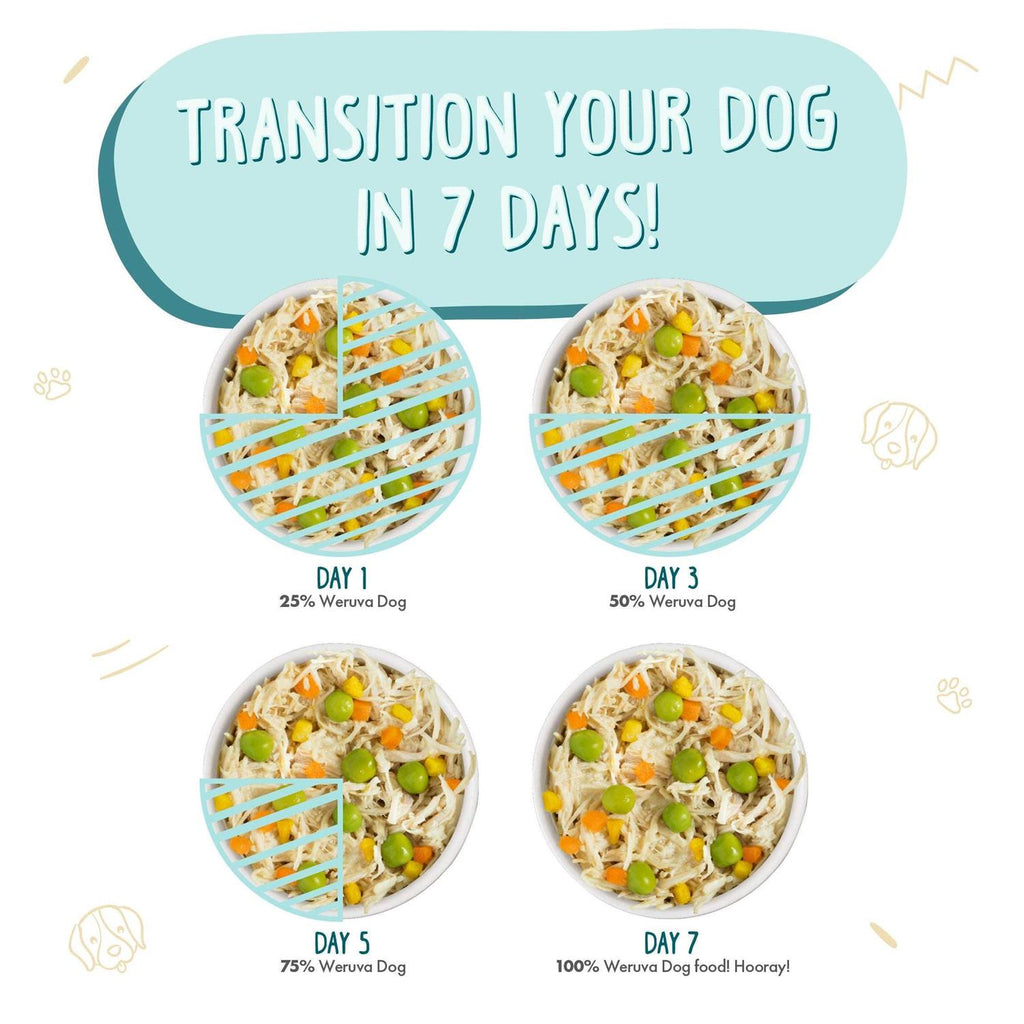 Chicken Soup Canned Dog Food N281819