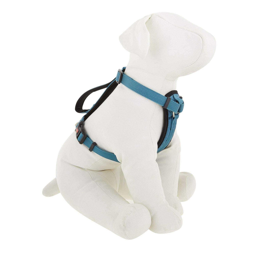 Padded Dog Harness H414669