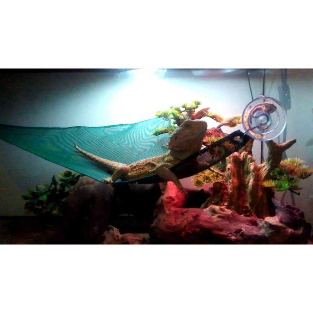 Reptile Hammock F474