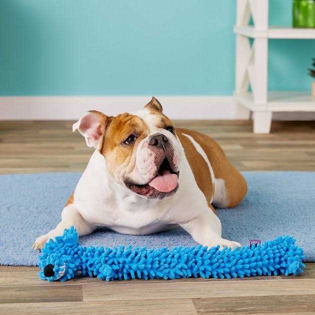 Dog Toy J61380