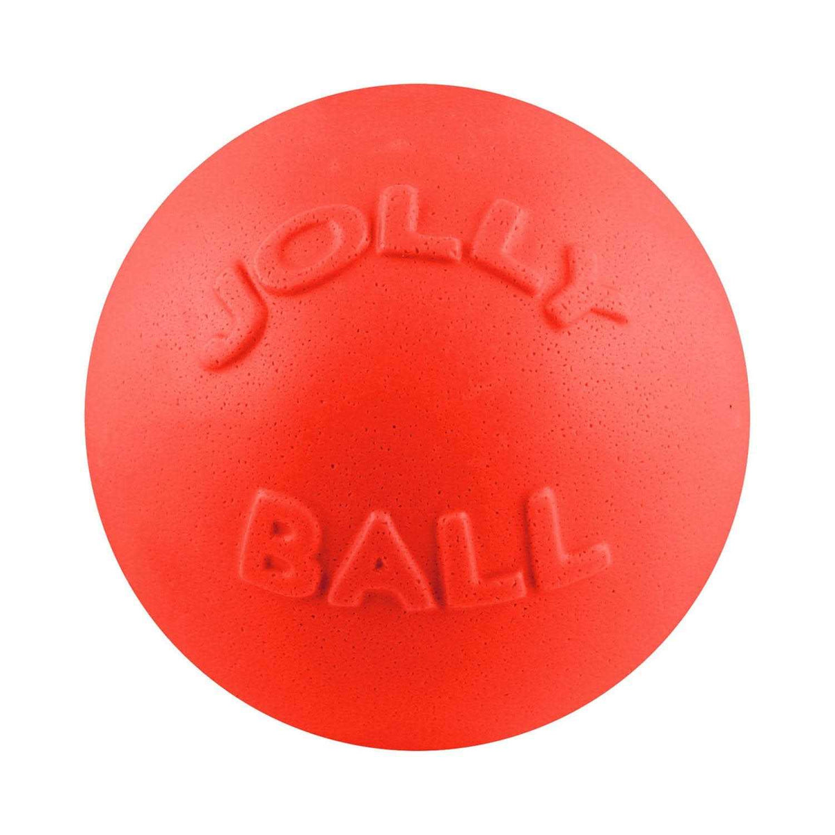 Bounce N Play X377318