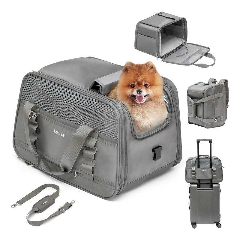 2-in-1 Double Pet Carrier Backpack H3491
