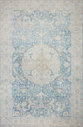 Antique Sky 2'3 x 3'9 Rug W967664