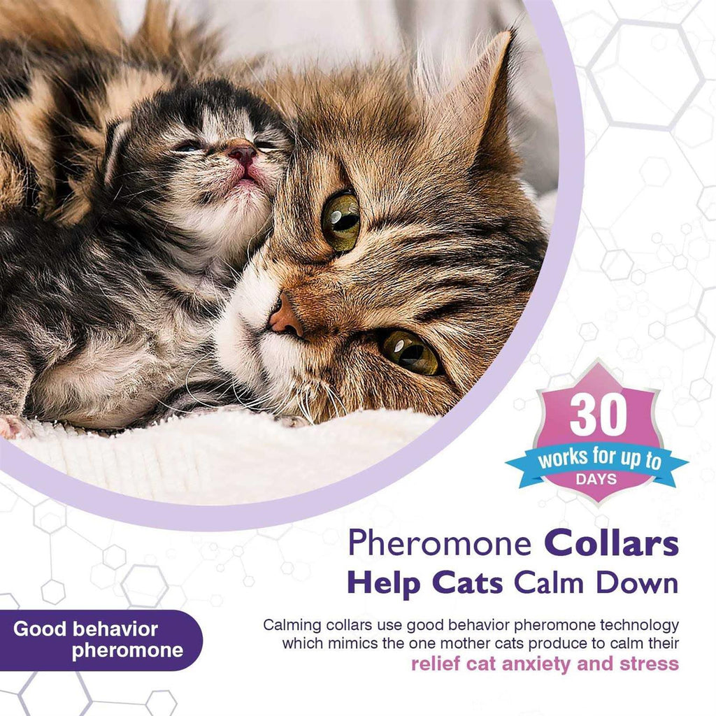 3 Pack Calming Collar X433