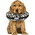 Dog & Cat Recovery Collar A470721