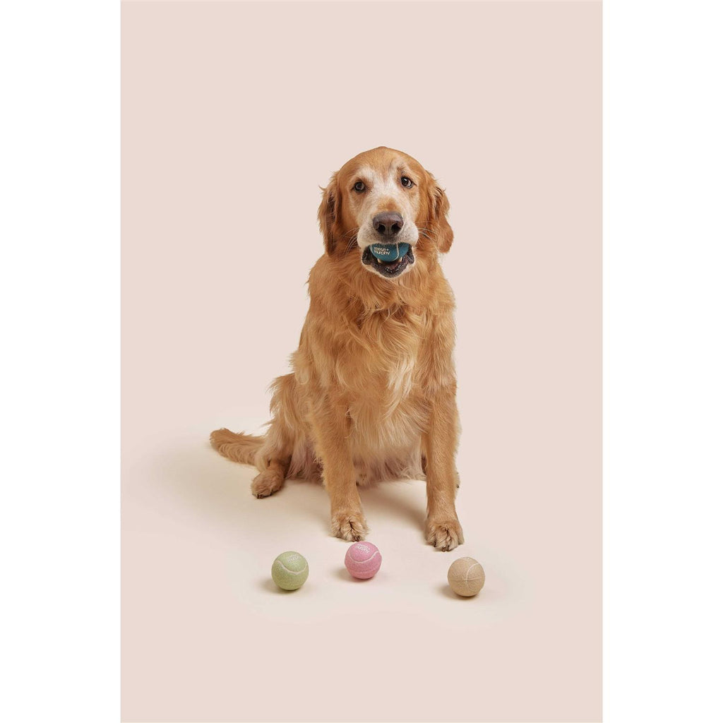 Dog Tennis Balls A7074