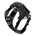 Dog Harness O363714
