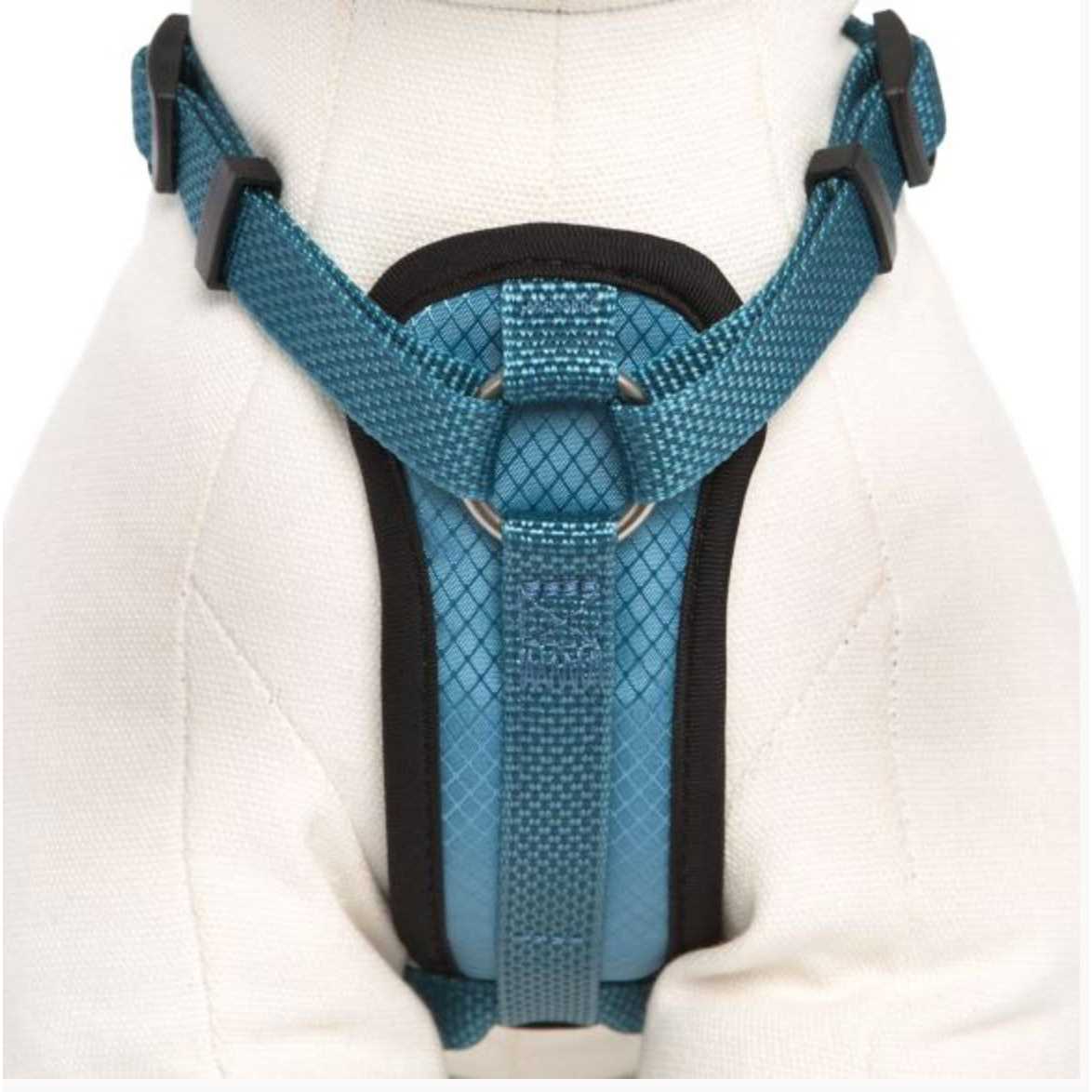 Padded Dog Harness H414669