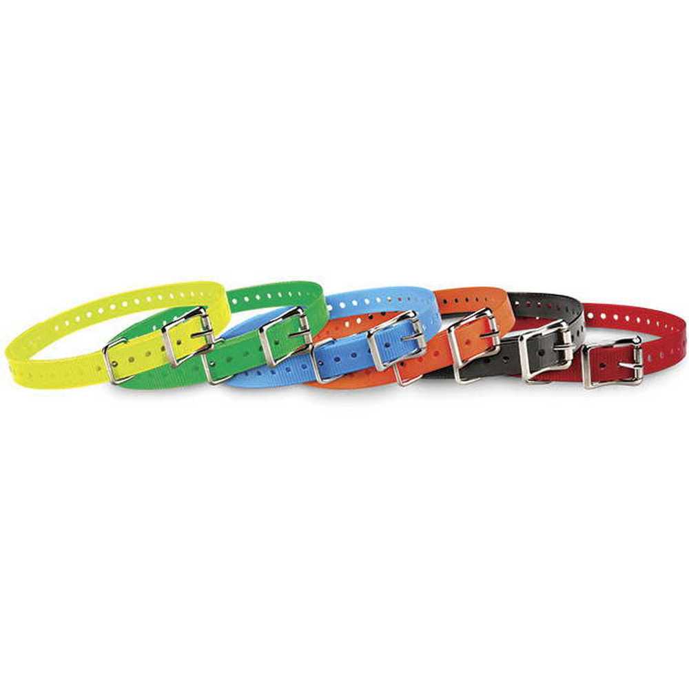 Collar Strap Y811