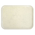 Rectangular Fiberglass Tray Q2257