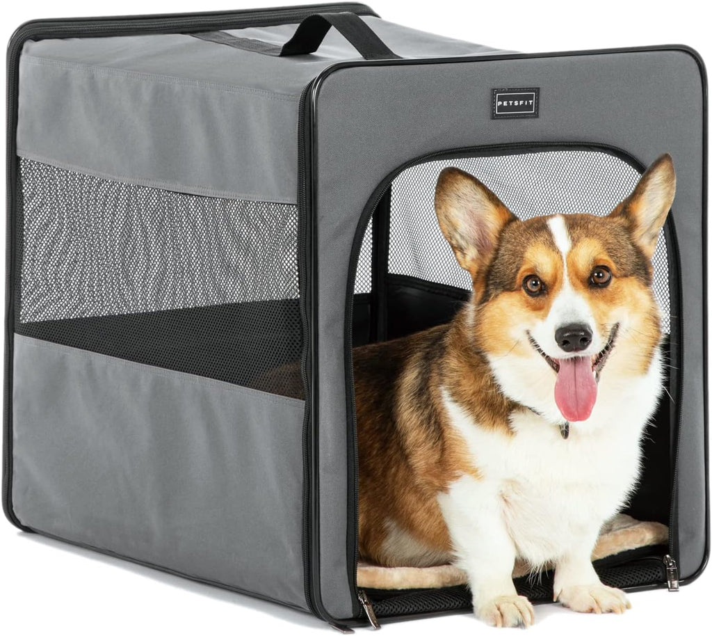 Collapsible Large Dog Travel Crate Y514493