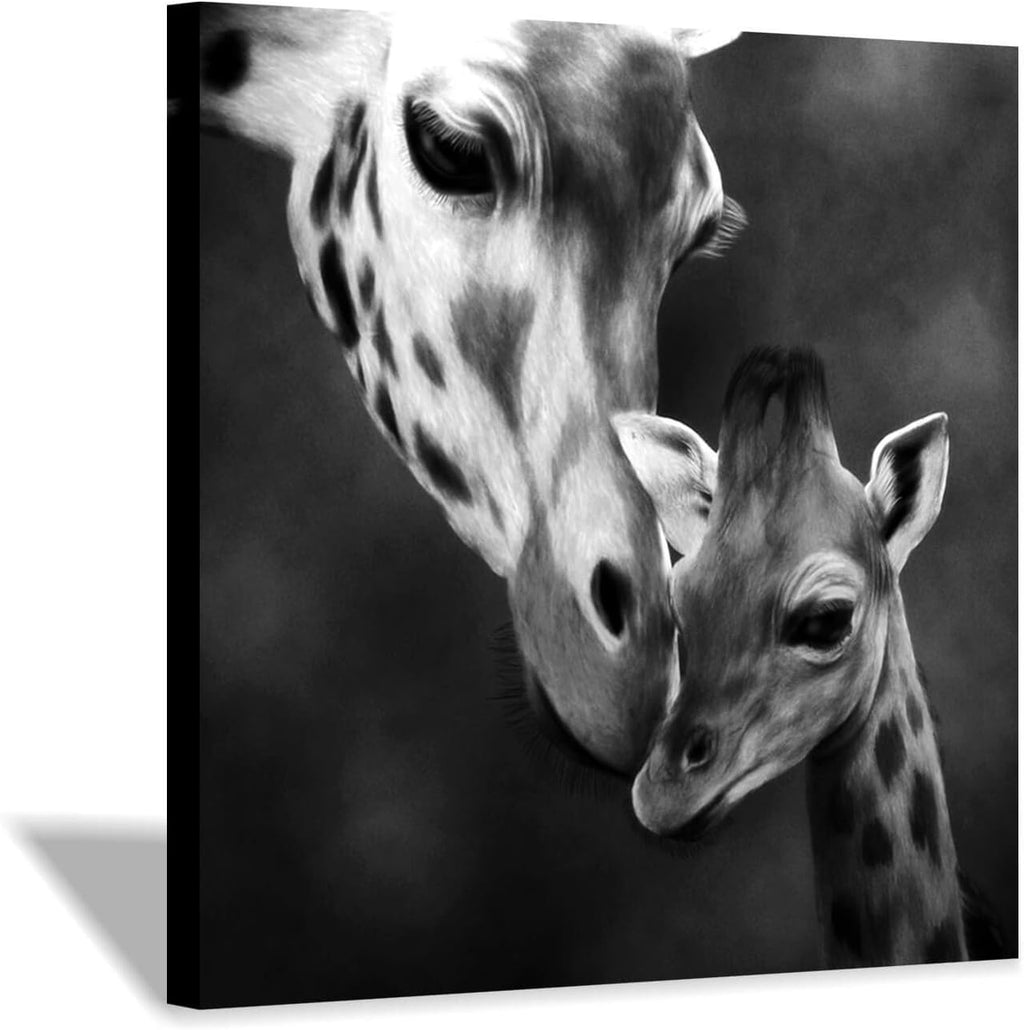 Canvas Wall Art Painting 24”x24” H1115