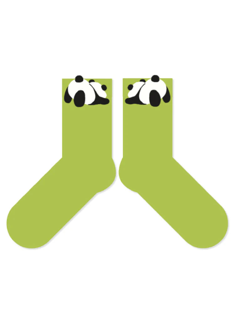 Cotton Socks I583379