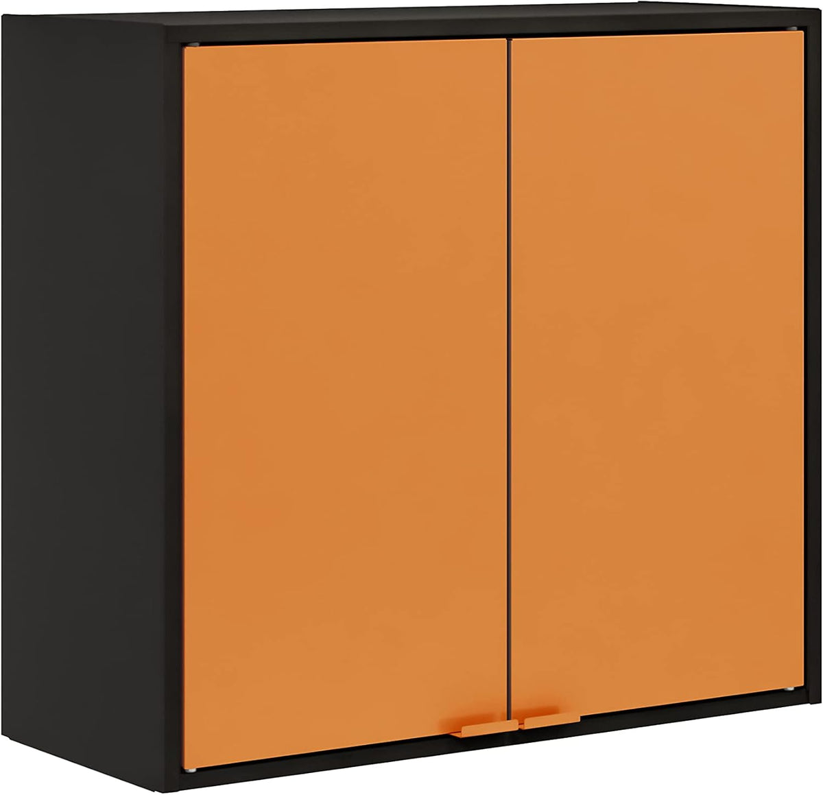 Two Doors Wall Steel Cabinet Space Organizer Blue O69763