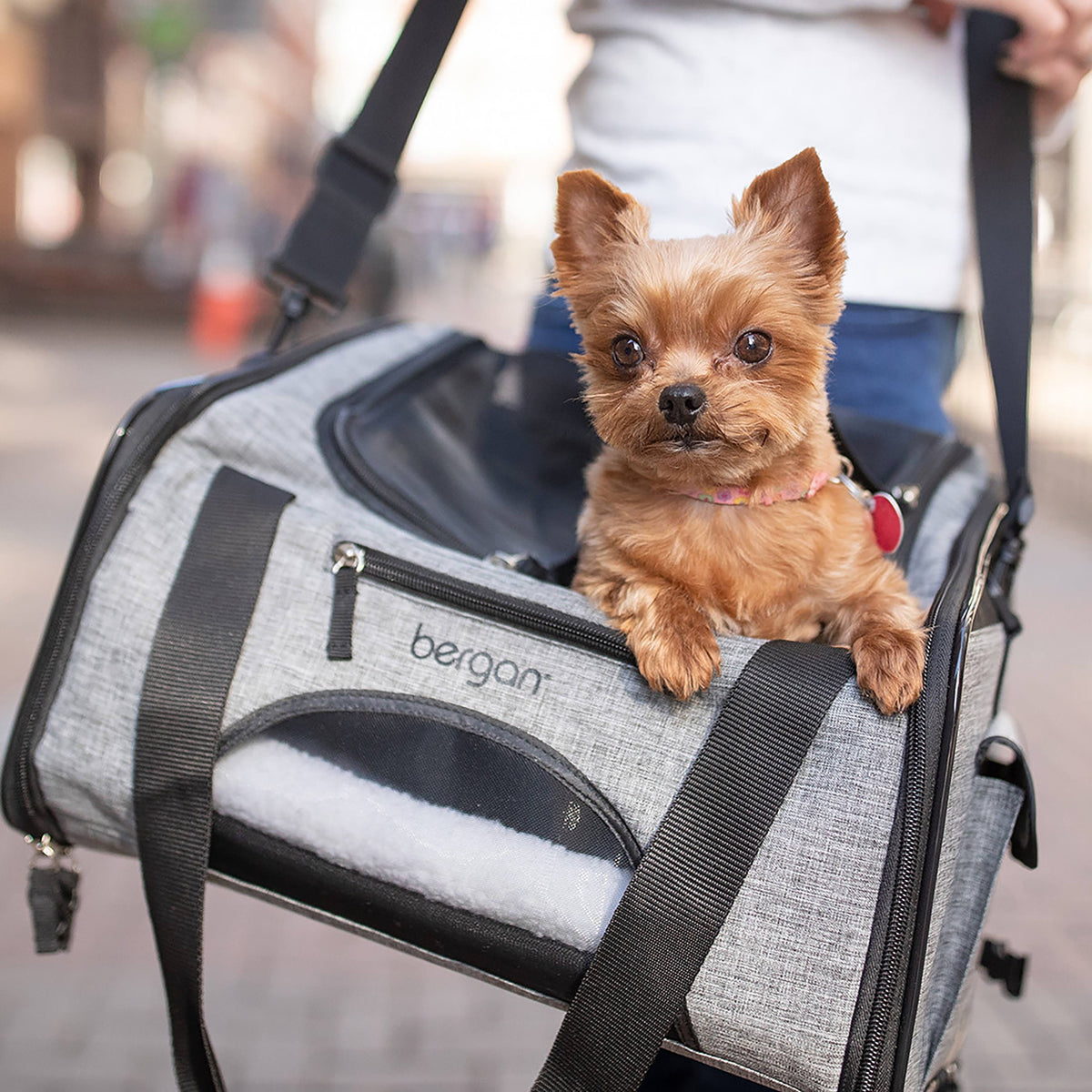 Pet Carrier 15.75 inchx12 inchx10.5 inch Heather Gray N950