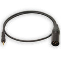 XLR Balanced Line Output Cable I22625