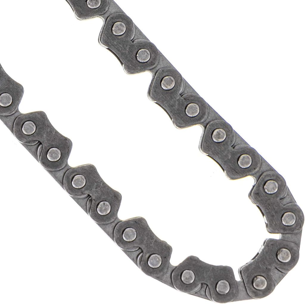 Cam Timing Chain Tensioner X404602