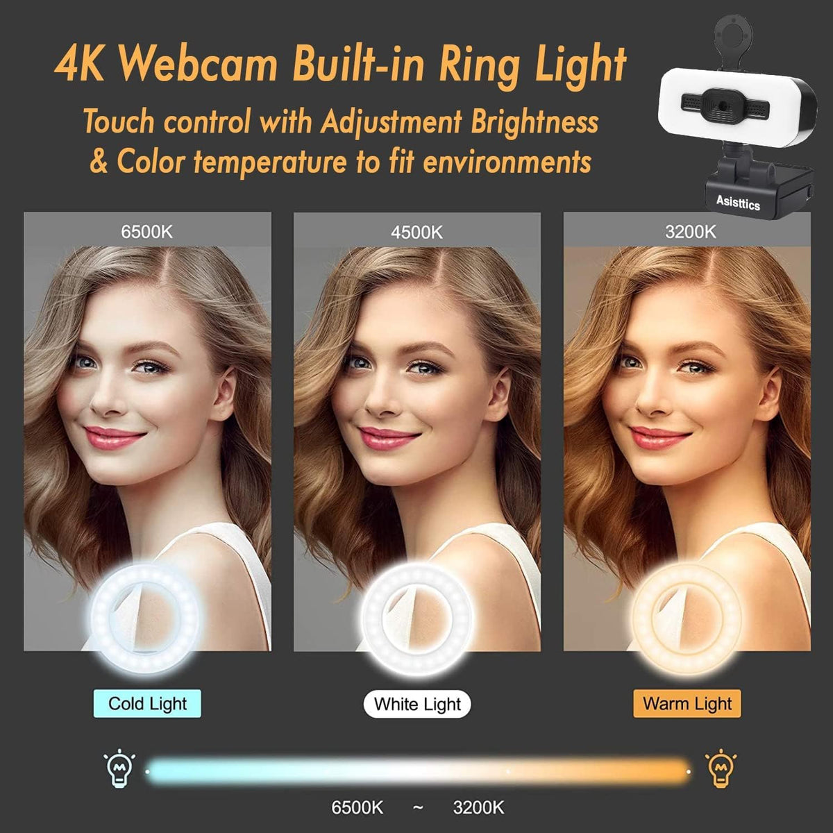 4K Webcam with Microphone and Ring Light L44300