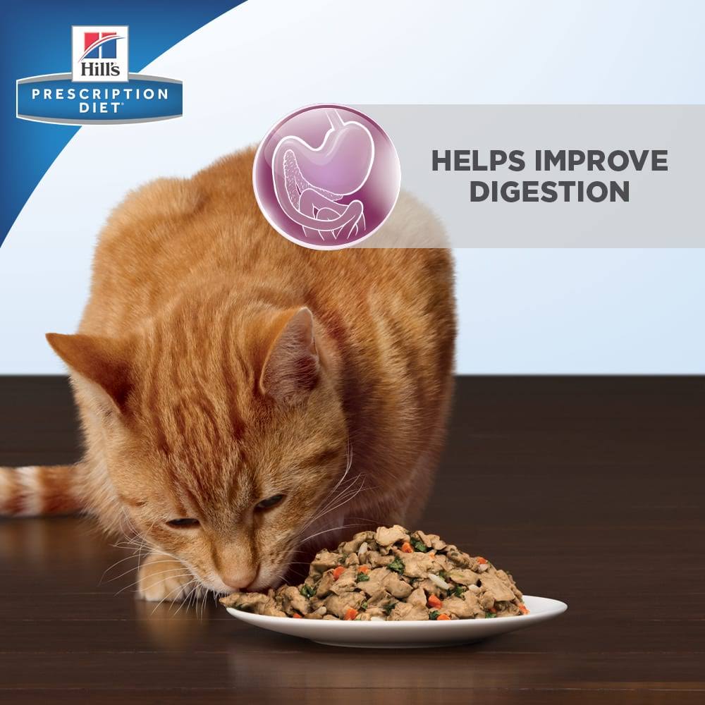 Chicken Digestive Care Cat Food 24 pack 5.5 oz cans V391