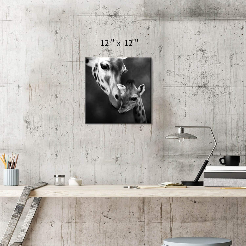 Canvas Wall Art Painting 24”x24” H1115