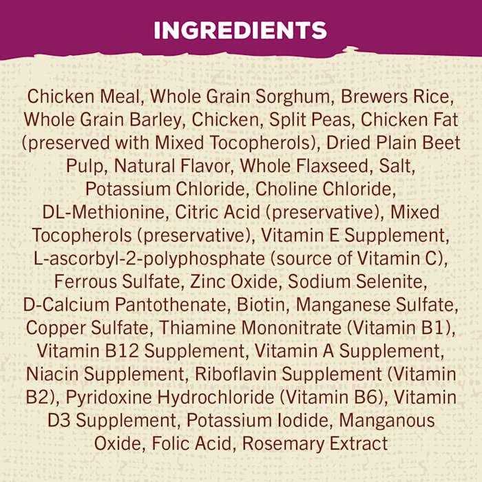 Adult Dry Dog Food with Chicken G769866