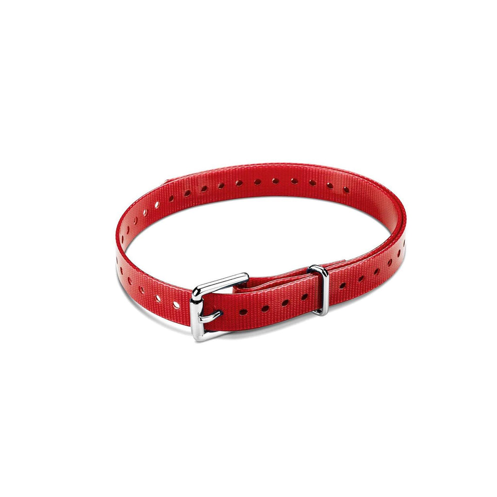 Collar Strap Y811