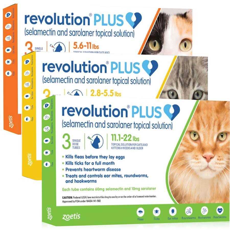 Revolution Plus for Cats 11.1 Y20897