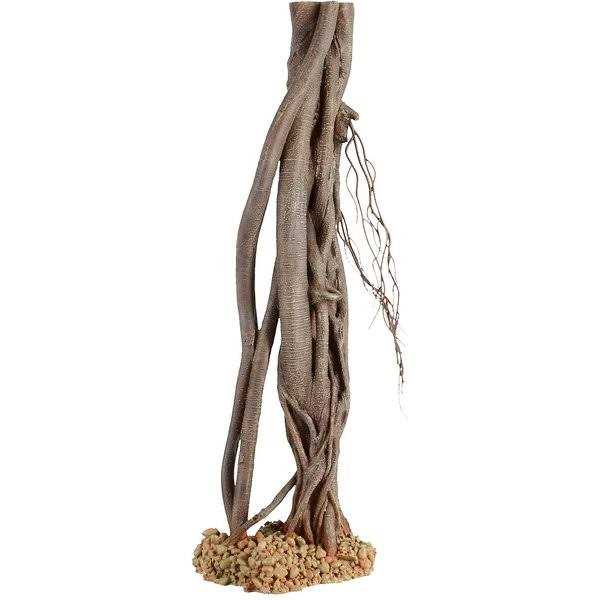 Mangrove Root Y83990