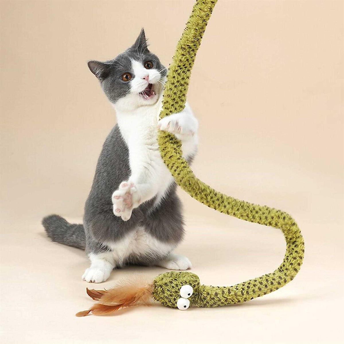 Cat Toy I314