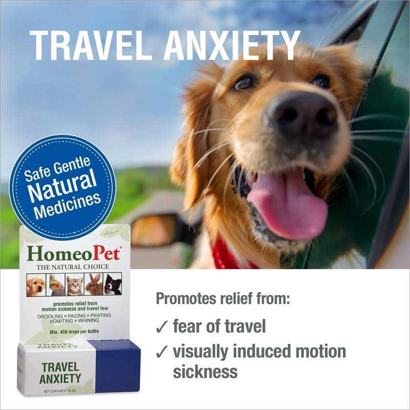 Travel Anxiety Q357