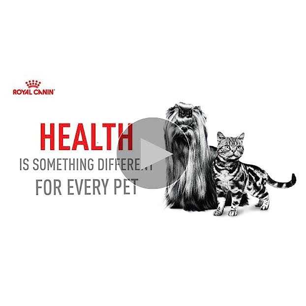 Hairball Care Dry Cat Food T49497